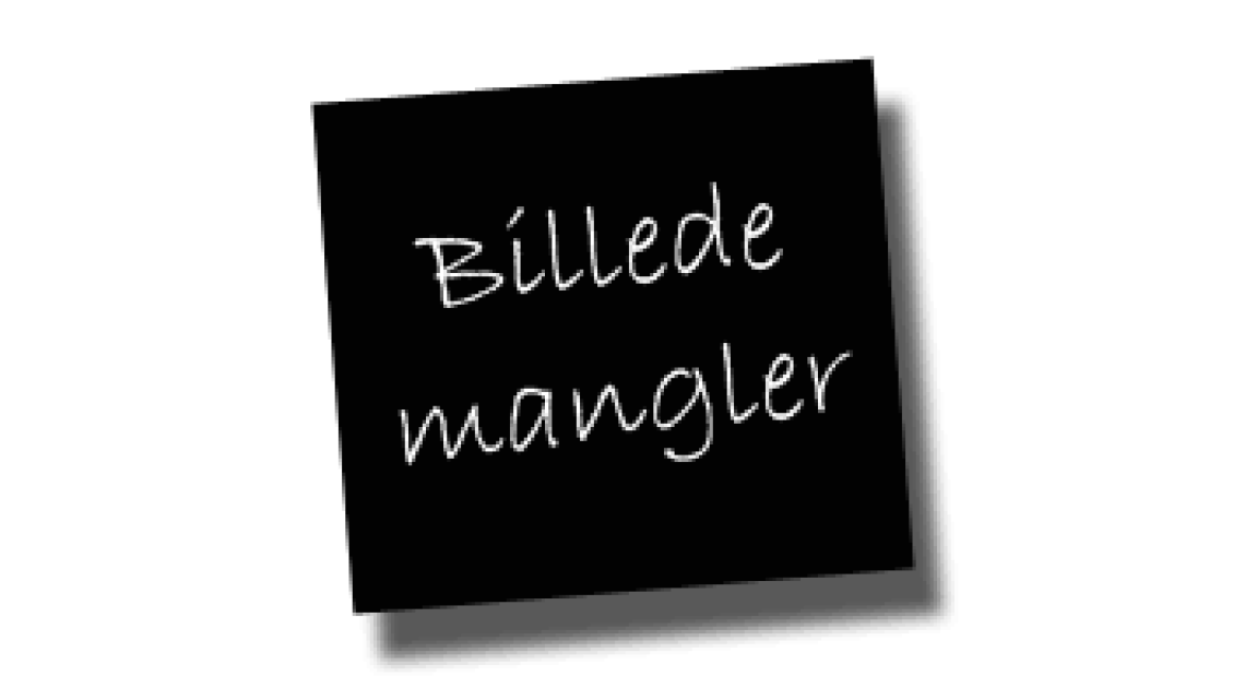 46. Rekrutteringsstrategi for EUD i Skanderborg.